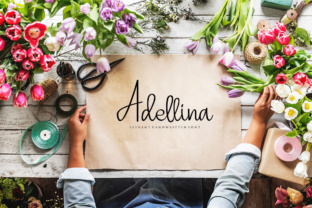 Adellina Font: Elegant Typography for Web Design