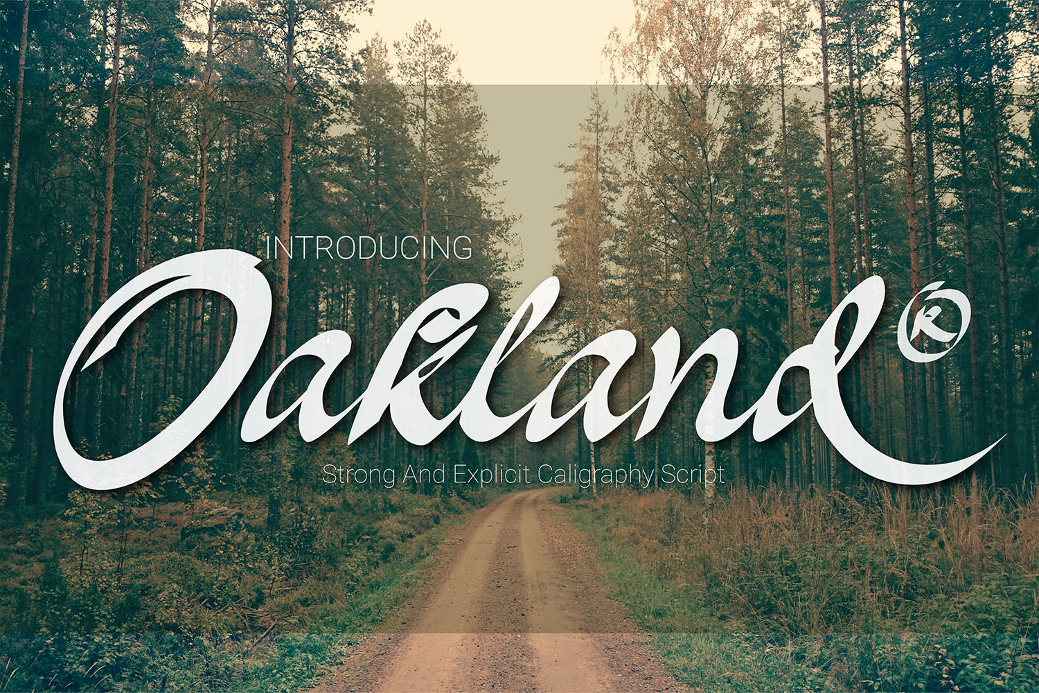 How Oakland Font Boosted Our Campaign's Visual Impact