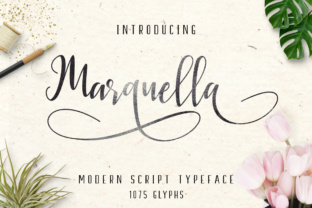 Marquella: A Designer’s Review for Real Projects