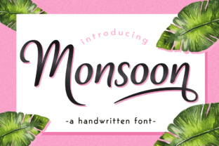 Monsoon Font: A Web Designer’s Layout Review