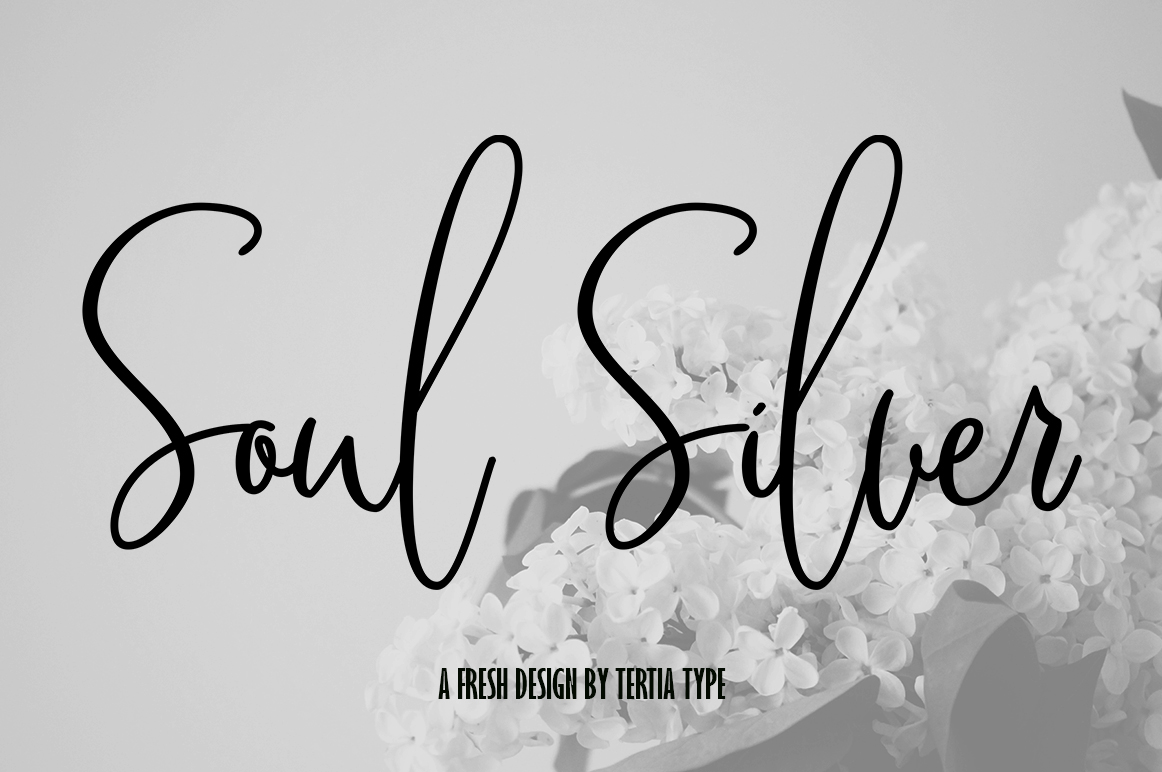 Soul Silver Font: Elegant Typography for Digital Campaigns