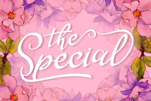 The Special Font: Elevating Digital Marketing Visuals